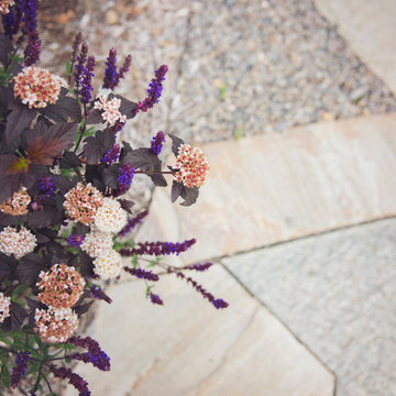 Blooming Perennials over a Flagstone Patio