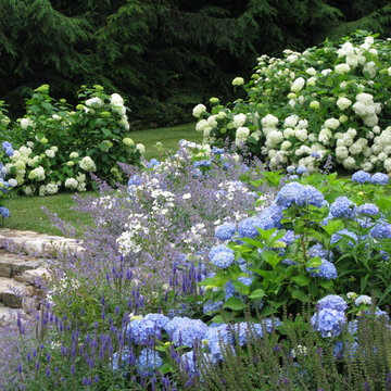 Blue and White Garden