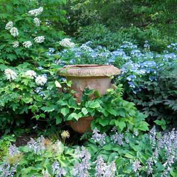 Blue & White Garden–Seekonk, MA