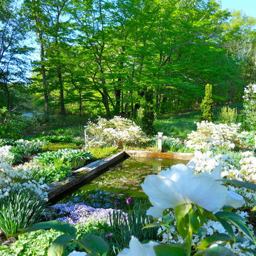 Blue & White Garden–Seekonk, MA