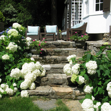 Blue and White Poolside Garden - Westport, CT