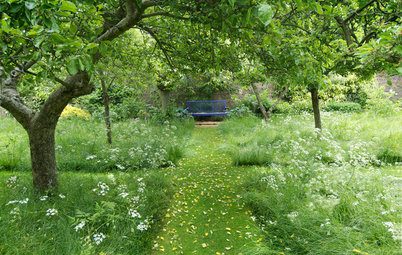 How to Design a Meadow Garden That Loves Shade
