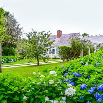 Blue Hydrangea, White Pergola and a Cedar Shake Cape Cod Home