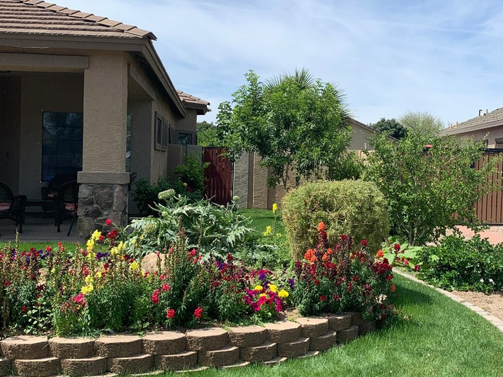 Eclectic Landscape - Vegetable Garden