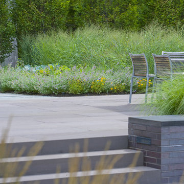 Bluestone Step