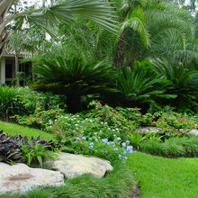 tropical residence