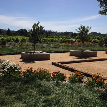Bocce in the Vineyards
