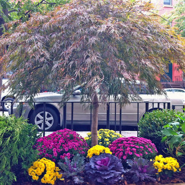 Boerum Hill, Brooklyn, NYC Townhouse Garden Design: Sidewalk Fall Planter