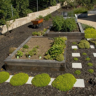 Inspiration for a mid-century modern retaining wall landscape in San Luis Obispo.