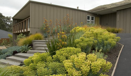 Houzz Call: Show Us Your Favorite Garden Combinations for Fall Planting