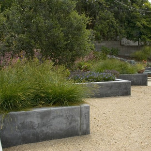 Inspiration for a mid-century modern retaining wall landscape in San Luis Obispo.