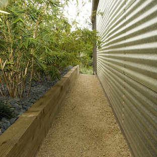 This is an example of a mid-century modern side yard landscaping in San Luis Obispo.