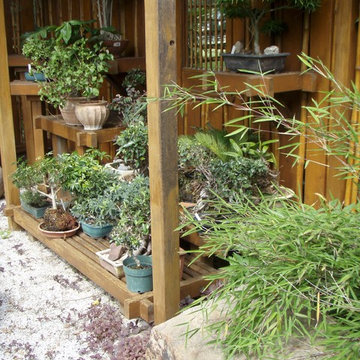 Bonsai Display Garden