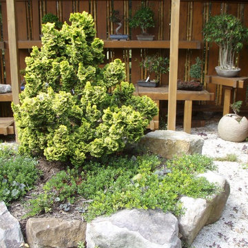 Bonsai Display Garden