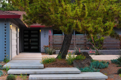 Inspiration for a mid-sized modern full sun front yard concrete paver garden path in Sacramento.