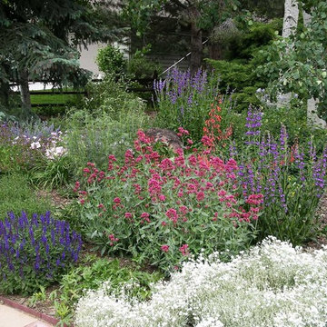 Border Bed Next to Paver Pathway