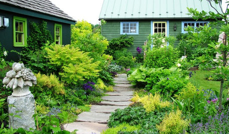 4 Things You Should Do for a Healthier Landscape