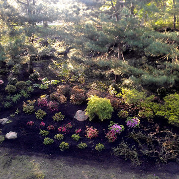 Boston Hillside Made in the Shade| From Above