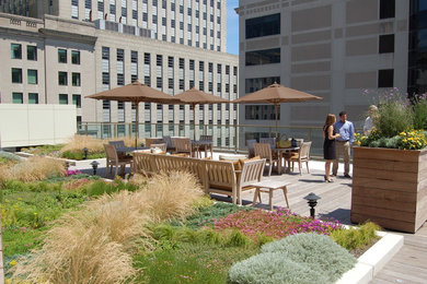 This is an example of a contemporary roof garden in Boston.