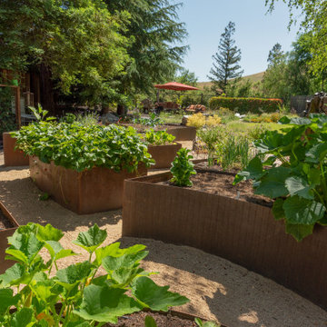 Custom Steel Vegetable Garden Beds in the Botanical Garden Delight