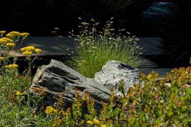 Rustikaler Garten hinter dem Haus mit Blumenbeet in San Francisco