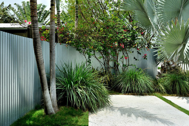 Contemporary Garden Bougainvillea | Key Haven, FL