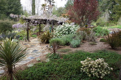 Inspiration for a small mediterranean full sun front yard stone garden path in San Francisco.