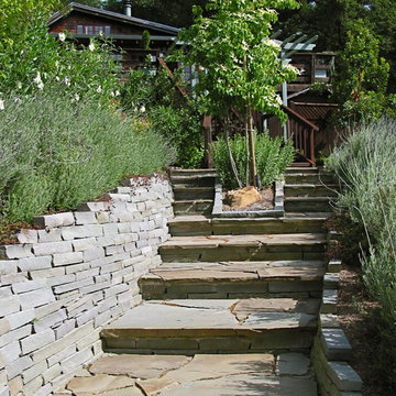 Boulder Creek