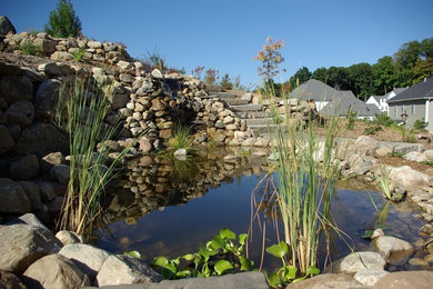 Imagen de jardín tradicional renovado grande en verano en patio trasero con exposición total al sol y estanque