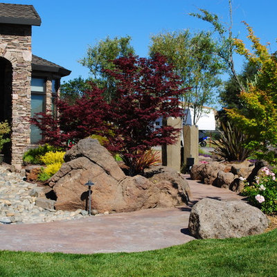 This is an example of a contemporary landscaping in San Francisco.