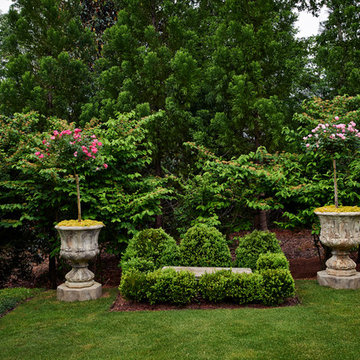 Boxwood bench