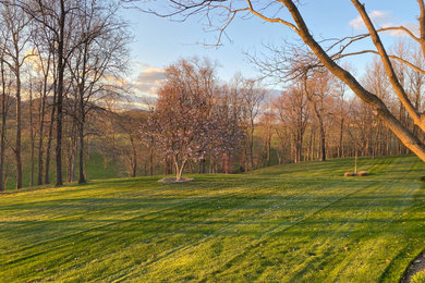 ワシントンD.C.にあるラグジュアリーな巨大なシャビーシック調のおしゃれな前庭 (半日向) の写真
