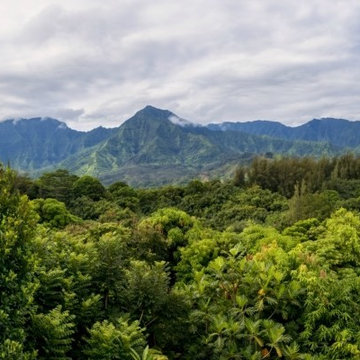 Breathtaking Views of Hanalei Bay, Princeville, Kauai