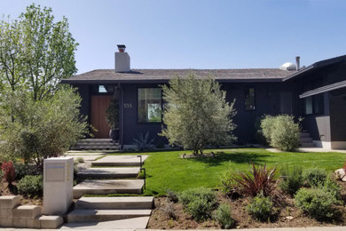 Photo of a mid-century modern landscaping in Los Angeles.