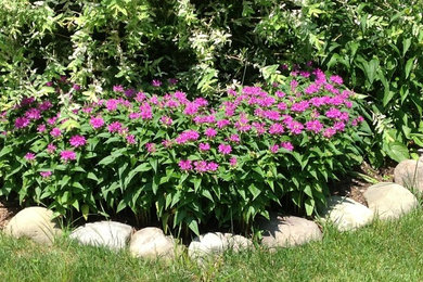 This is an example of a mid-sized traditional partial sun front yard mulch formal garden in New York for summer.
