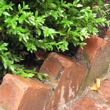 Brick edging with traditional plantings for shade