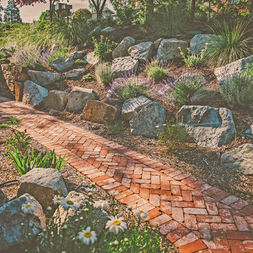 Brick Pathway in Waterwise Garden