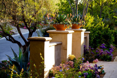 This is an example of a transitional landscaping in San Diego.