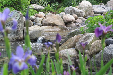 Photo of a transitional landscaping in Providence.