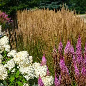 Contemporary Front Yard Landscape - Brookfield