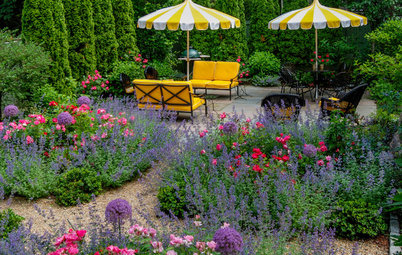 Go for Baroque for a Vivacious, Colorful Garden