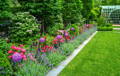 Farben im Garten: Diese 6 Tipps helfen bei der Gestaltung