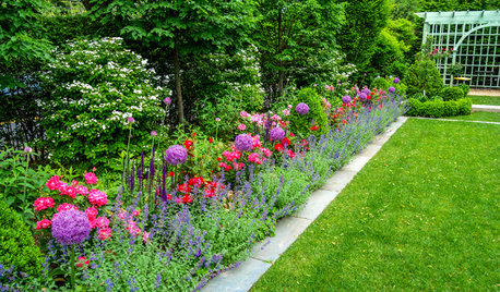 Farben im Garten: Diese 6 Tipps helfen bei der Gestaltung