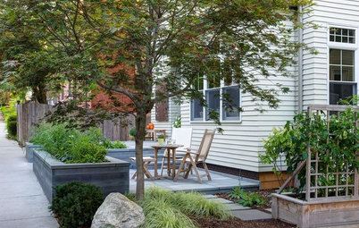A New England Front Yard Designed for Relaxation and Resilience