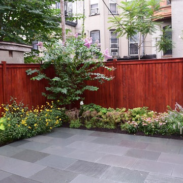 Brooklyn Backyard