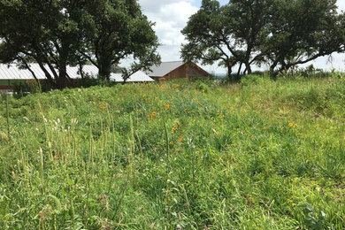 Inspiration for a drought-tolerant and full sun hillside landscaping in Austin for spring.