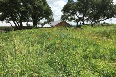 Immagine di un giardino xeriscape esposto in pieno sole in primavera con un pendio, una collina o una riva