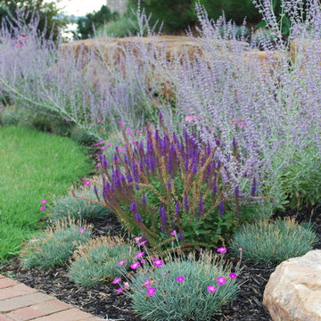 BSR Project Revisited 8 months later. By Sifford Garden Design
