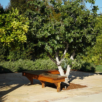 Built in bench under fig tree