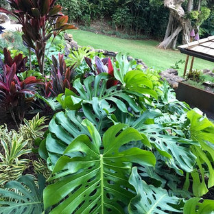 Immagine di un grande giardino formale tropicale esposto a mezz'ombra davanti casa